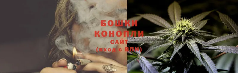 Канабис Ganja  Куровское 